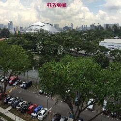 Blk 9 Jalan Batu (Kallang/Whampoa), HDB 2 Rooms #51482732